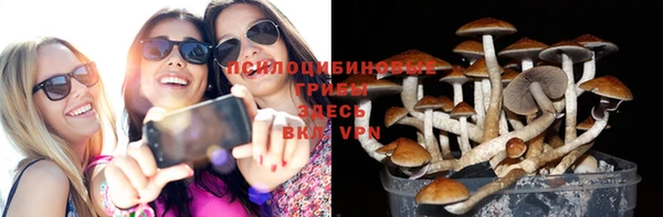 винт Баксан